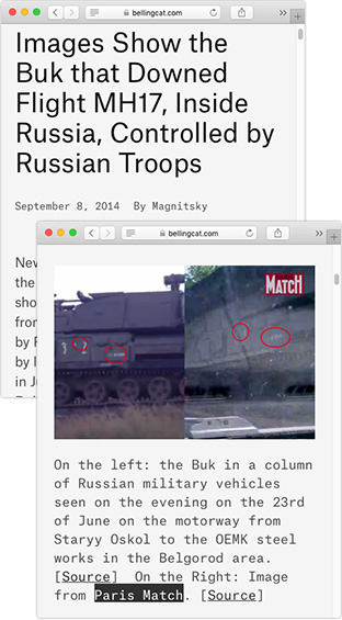 Bellingcat article